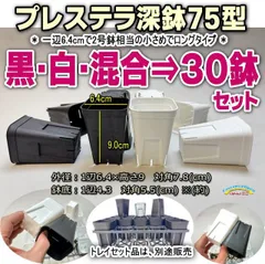 プレステラ深鉢75(スリットポット/スリット鉢2号深鉢相当)-黒・白・混色⇒30鉢セット販売＊多肉植物・塊根植物コーデックス・アガベ・サボテン・観葉・盆栽・ハオルチア・アデニウム・パキポディウム＊グラキリス・ジュエルオーキッド・実生＠フラワーショップ江口のサムネイル
