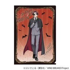 【新品・公式】WIND BREAKER クリアファイル／蘇枋 隼飛 公式グッズ colleize