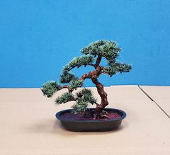 【造花】盆栽松（小）　JOA-215