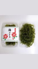 ✴︎生産者直送✴︎ 生海ぶどう　茎付き　200g