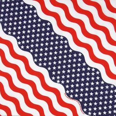 【10枚セット】HAV-A-HANK/ハバハンク USA2 フラッグ デザインバンダナ 新品 202-