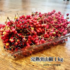 夢農場　山椒の実１kg（長野県産）