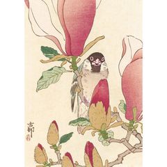 浮世絵 日本画 A2サイズ 小原古邨 ポスター 木蓮に文鳥 浮世絵 日本画 和風 アート