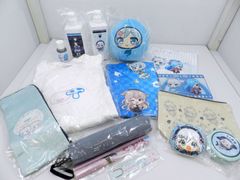 【未開封】電脳少女シロ ヤマトイオリ サプライズボックス＆グッズセット (058)