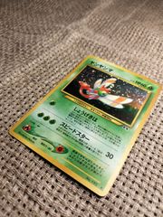 NO007_【美品】ヤンヤンマ_ポケモンカード_旧裏