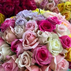バラ 30センチ20本❲切り花生花バラ❳30 - メルカリ