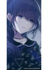 【中古】キャラカード 朝比奈まふゆ 箔押しイラストカード 「プロジェクトセカイ カラフルステージ! feat. 初音ミク サマーフェア2022 in アニメイト」 対象商品購入特典