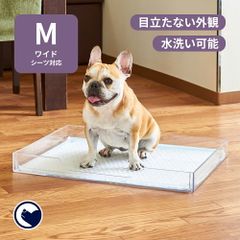 【OFT STORE メルカリ店】(新品)(定価￥7620)クリアレット2(M)本体