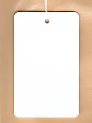 【在庫処分】白無地タグ（値札）6341（37×60mm・白糸）/500枚のサムネイル