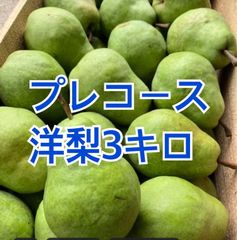 洋梨　プレコース　3キロ