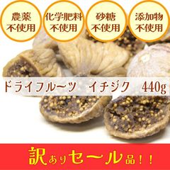 イチジク　無花果　ドライフルーツ　スーパーフード　妊活　妊娠　不妊　更年期　薄毛　抜け毛　育毛　スカルプ　ダイエット　腸活　美活　ポリフェノール　植物性エストロゲン　エラグ酸　アントシアニン　カリウム　食物繊維