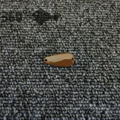 【神田釣具 360°】1973: used lure spoon/まとめ売り 可/セット 可/中古 ルアー スプーン/ウォーターランド//@