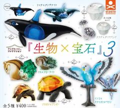 非売品】黒潮コメッコ 第2弾 販促用 BOX アクアテイルズ フィギュア