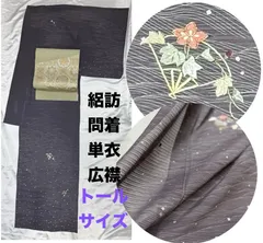絽刺繍入訪問着⭐️豪華絢爛綺麗トールサイズ身丈165cm正絹単衣広襟ゆとりサイズ
