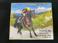 直筆サイン入り　トレーディングmini色紙　ラウダシオン 2025年最新】競馬mini色紙の人気アイテム - メルカリ