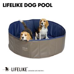 【LIFELIKEドッグプール】 プール ビニールプール ペットプール ボールプール 家庭用 子ども キッズ 犬用 プール 空気入れ不要 折りたたみ ファミリープール 犬 猫 お風呂 ペットバス 水遊び レジャー アウトドア キャンプ［返品不可］