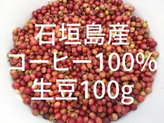 希少！【幻の石垣島産コーヒー100％】☆コーヒー生豆100g入☆必見国産コーヒー