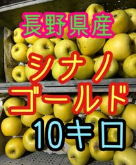 1箱限定出品！早いもの勝ち🙇安い！長野県産家庭用シナノゴールド約10kg りんご　Apple リンゴ　家庭用りんご