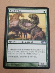 ◇クローサの獣 日本語1枚 - メルカリ
