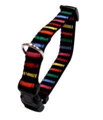 Item thumbnail for item e4711299-e277-445e-a383-ab0dd4acbabc