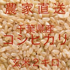 【農家直送】千葉県産コシヒカリ 玄米 ２キロ