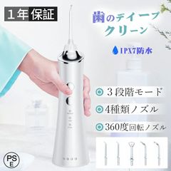口腔洗浄器 歯垢除去 口内洗浄機 超音波 電動ジェットウォッシャー 携帯型 歯周ポケット 歯垢除去 初心者向け 3段階モード 防水 充電式 歯みがき 虫歯 奥歯 隙間 除菌 抗菌 敬老の日 口臭防止 誕生日プレゼント