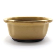 【未使用】盆栽鉢 6号 木瓜鉢 モッコ鉢 黄土色 黄釉 瀬戸焼 陶器 深め 中型 小品 雑木 松柏 約20センチ 植木鉢 苔 おしゃれうめきち盆栽用品店