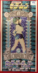 セーラーマーキュリー 半身像 1/2.5 キャストキット 原型 あげたゆきを セーラーマーキュリー 半身像 1/2.5 キャストキット 原型 あげた