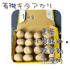 キタアカリ１kg 　北海道産 　有機じゃがいも　農薬・化学肥料不使用　#無農薬