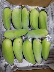 数量限定！沖縄産アップルバナナ