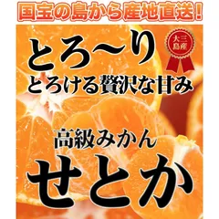 愛媛県大三島産の『せとか』5kgご家庭用