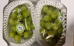 大人気！岡山県産 ぶどう彩り詰め合わせセット！ - メルカリ