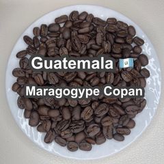 Item thumbnail for item 2bca2d0e-6f11-4a67-b5d5-0b91b907ff73