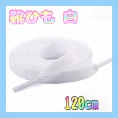 靴紐 ホワイト 12cm 2本 平紐 スニーカー