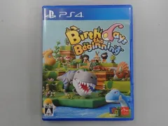 PS4 Birthdays the Beginning