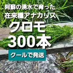 2023年最新】日本のタナゴの人気アイテム - メルカリ