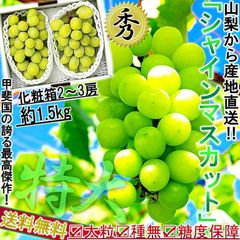 【予約：8/15～9/15予定】産地直送 シャインマスカット ぶどう 山梨県産 2～3房 約1.5kg 種なし葡萄 特大房 秀品 化粧箱入り 贈答品 TVでも話題 最高級の大粒ブドウ