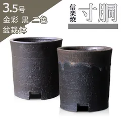 2025年最新】盆栽鉢 懸崖の人気アイテム - メルカリ