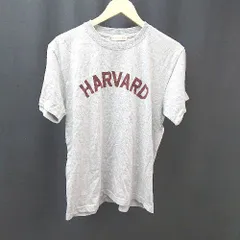  Harvard ハーバード クルーネック ブランドネーム ワンポイント 長袖 Tシャツ サイズF グレー レディース メンズ 【1305290003281】