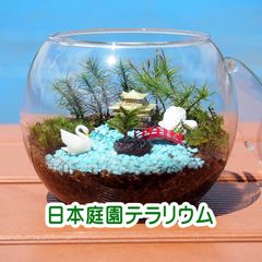 ドーム型・苔テラリウム・金魚鉢