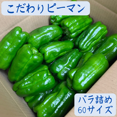 ピーマン　60サイズ　バラ詰め　1.2キロ