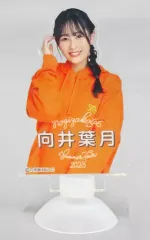2026年最新】向井葉月 アクスタの人気アイテム - メルカリ