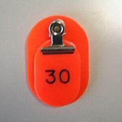 Item thumbnail for item 4f79f214-f332-4c74-a271-1d0ed4af5440