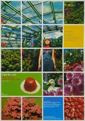 【中古】ポスター B2販促ポスター 米倉千尋 「CD jam」