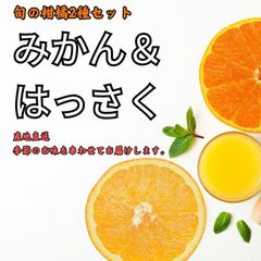 4㎏みかんとはっさく食べ比べセット 果物でハートわしづかみ 蜜柑 八朔 産地直送