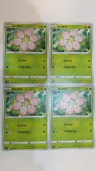 ポケモンカード   ポケカ   タマタマ   ４枚   まとめ処分   S-9