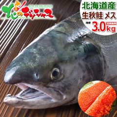 【予約/9月中旬(9月18日)頃～出荷予定】 北海道産 天然 生秋鮭 (メス/筋子付き/3.0kg/切り身加工なし/冷蔵品) 秋の味覚 生 天然物 さけ サケ しゃけ シャケ 秋サケ 秋シャケ アキサケ 鍋 鮭鍋 石狩鍋 北海道 グルメ お取り寄せ