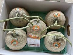 最高級富良野メロン秀品　ルピアレッド（大玉１玉入り) 。　赤肉　富良野産　北海道