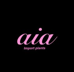 shop-thumbnail