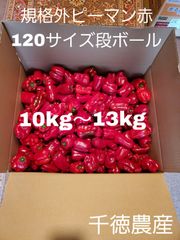 規格外赤ピーマン120サイズ段ボール(岩手県)